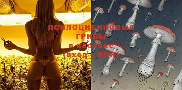 шишки Алексин